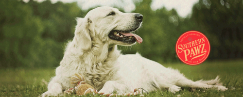 Spreading Holiday Cheer - Gourmet Gift Baskets & Pet Goodies with Southern Flare