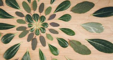 Customer community: Definition + How to Build Your Own