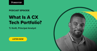 What Is A CX Tech Portfolio?
