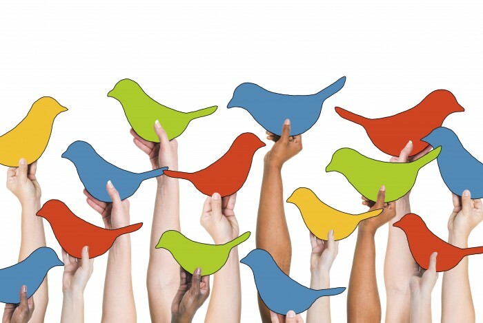 Spur Your Social Results: Customize Images in Canva