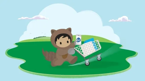 How to Ramp up Your Team on a New Ecommerce Platform