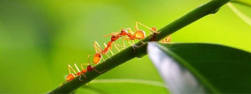 Explaining First-party, Second-party, and Third-party Data: An In-depth Overview