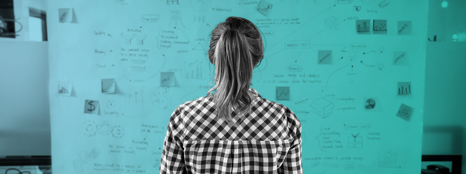 Marketing Strategy vs. Marketing Plan