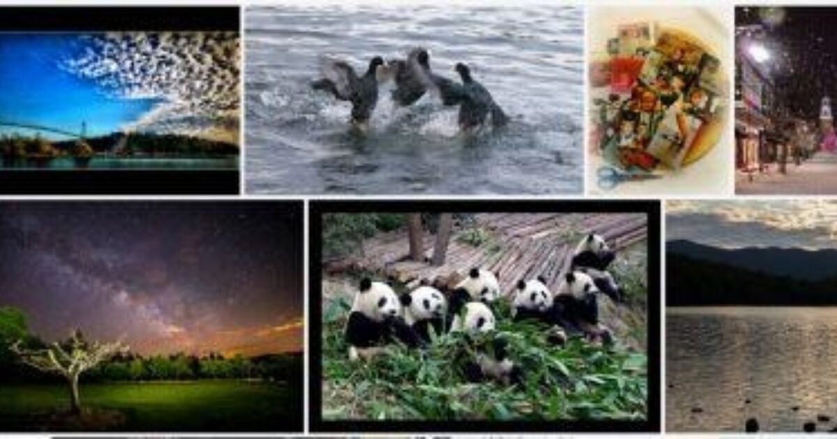 Optimizing for Accessibility   SEO: Images, Video and Non-Text Elements