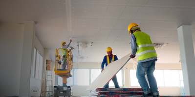 8x Increase In Annual Sales