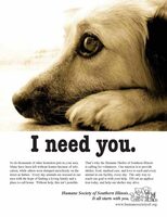 Rescue dog ad - Swipe File