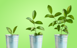 Improving Wellness Organizations With Health and Wellness Virtual Assistants