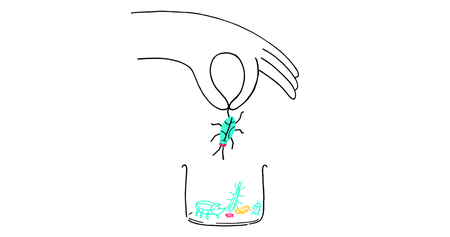 Find Website Bugs on Your New Page or Site: a 3-Step Framework