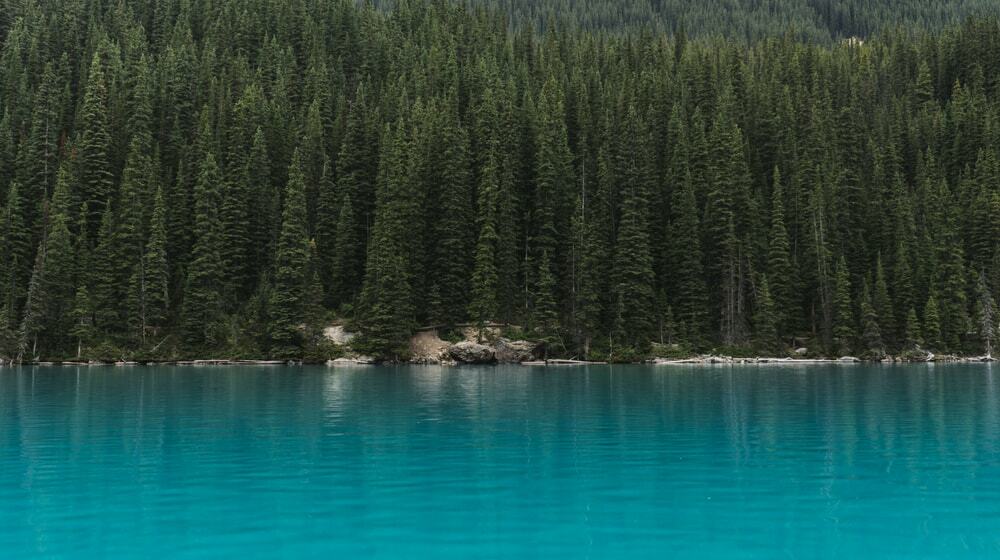 A history of direct response marketing - and why you need it for success