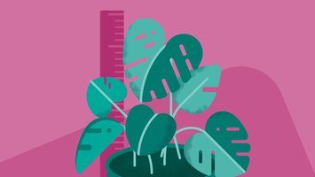 How to Calculate Productivity at All Levels: Employee, Organization, and Software