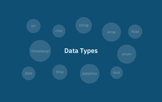 What Are Data Types and Why Are They Important?
