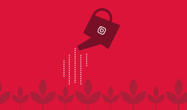 Organic Instagram growth strategies to build your brand