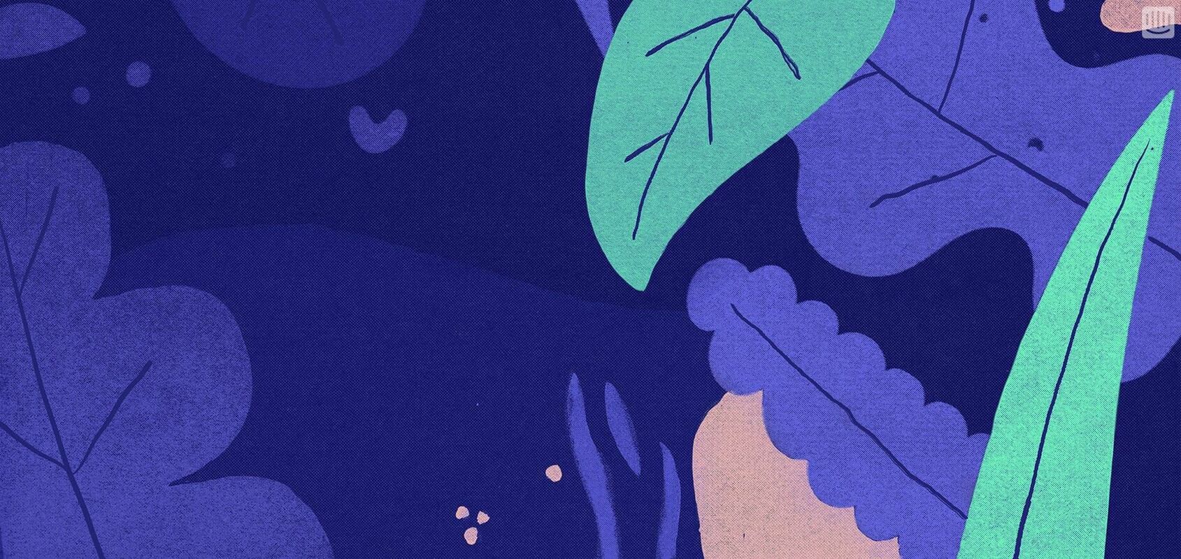 Learn How To Nurture New Signups Beyond The Free Trial