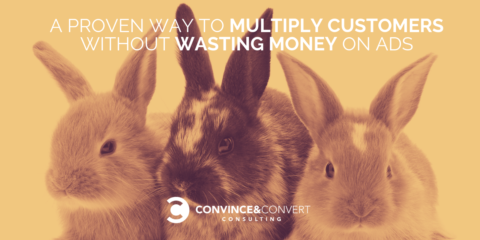 A Proven Way to Multiply Customers without Wasting Money on Ads