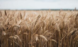 How to get the most out of your CRM data: Statistical fields in NetHunt CRM and how to use them