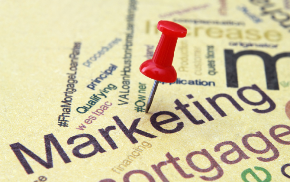 Marketing 101: Marketing Basics Every Marketer Needs to Know