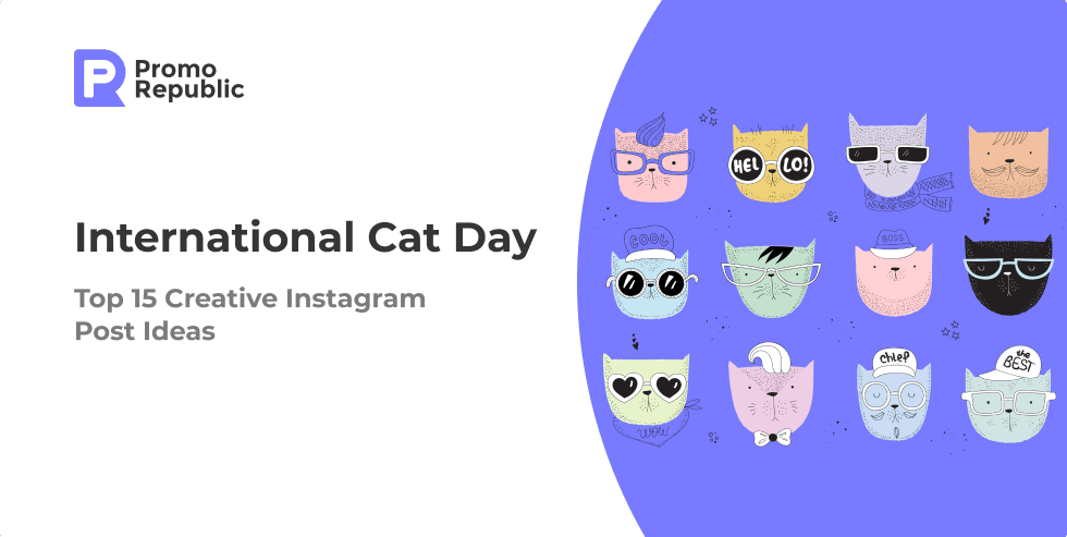 Top 15 Creative Instagram Post Ideas for International Cat Day - PromoRepublic