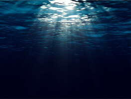 A modern system of record for omnichannel advertising