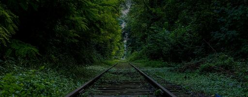 Organic growth more fruitful than acquisitions.