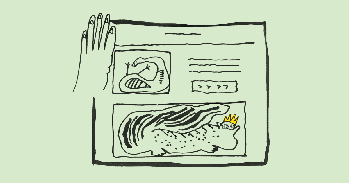  E-commerce Website Design Tips That Help You Sell More