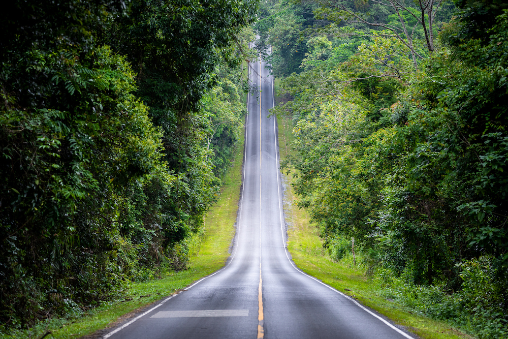 Don't Brake While Going Uphill - What Sales Teams Should Do To Prepare For Tough Times