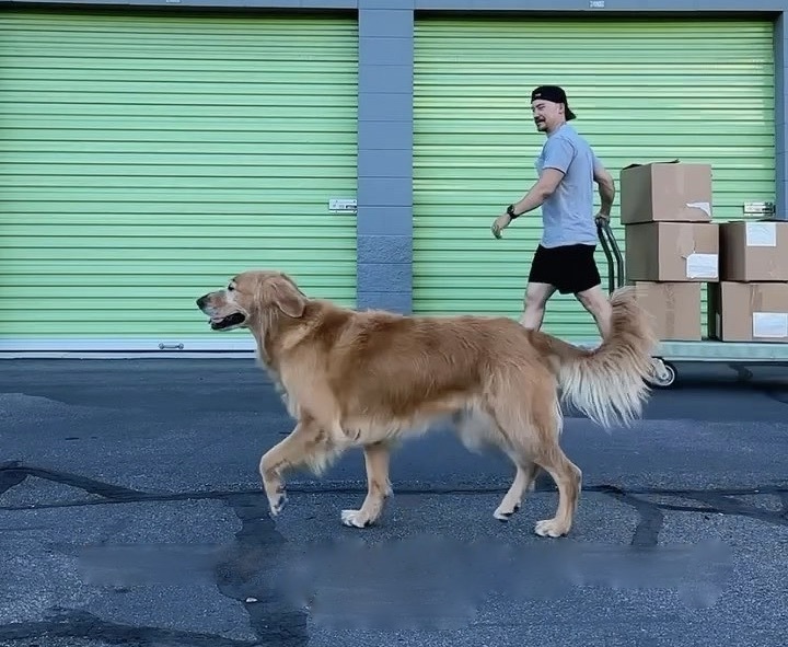 How Extra Space Storage grew total media value by $1.4M with Aspire's influencer marketing platform