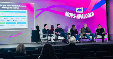 Maximize ROI with data enrichment: MOps-Apalooza insights