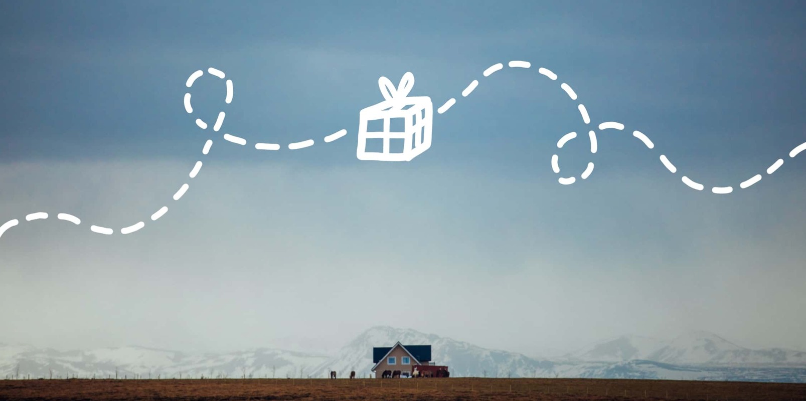 Find the right shipping options for your ecommerce business