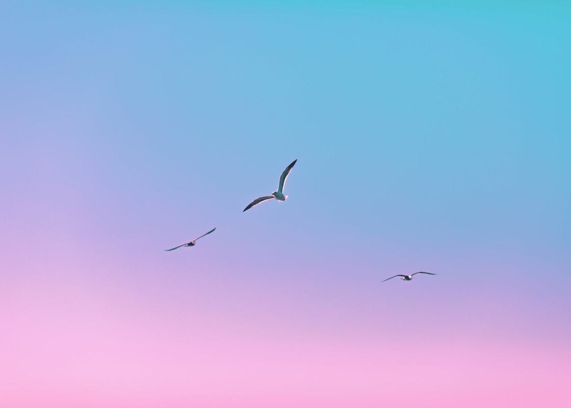 A Simple Guide to Creating a Social Media Content Strategy