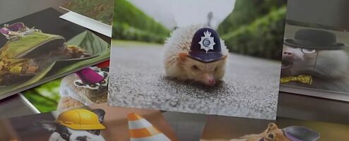 NobleWorks | Case Study