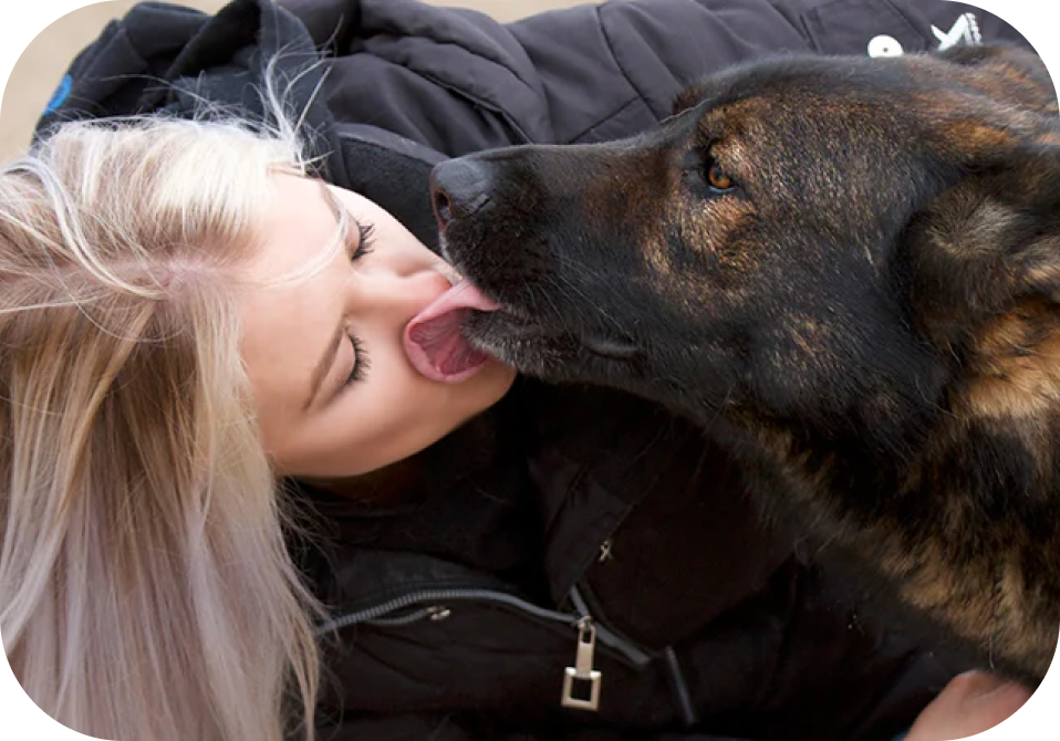 RawFedK9 Achieves an Impressive 163X ROI with Custom-Built Campaigns on AiTrillion's eCommerce Sales and Marketing Platform