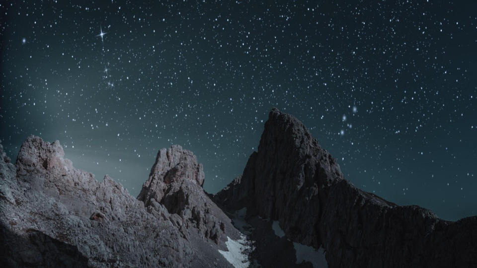 2020 Revenue Collective Year In Review (And What's To Come In 2021)