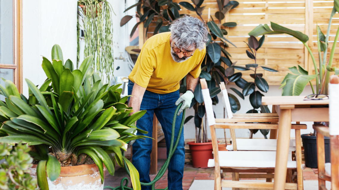 Going Green: Why It's Good for the Environment and Your Property