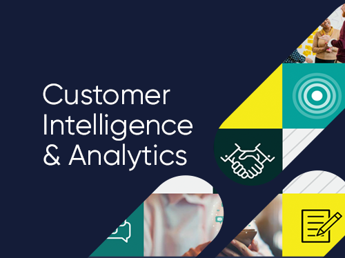 Customer Intelligence and Analytics