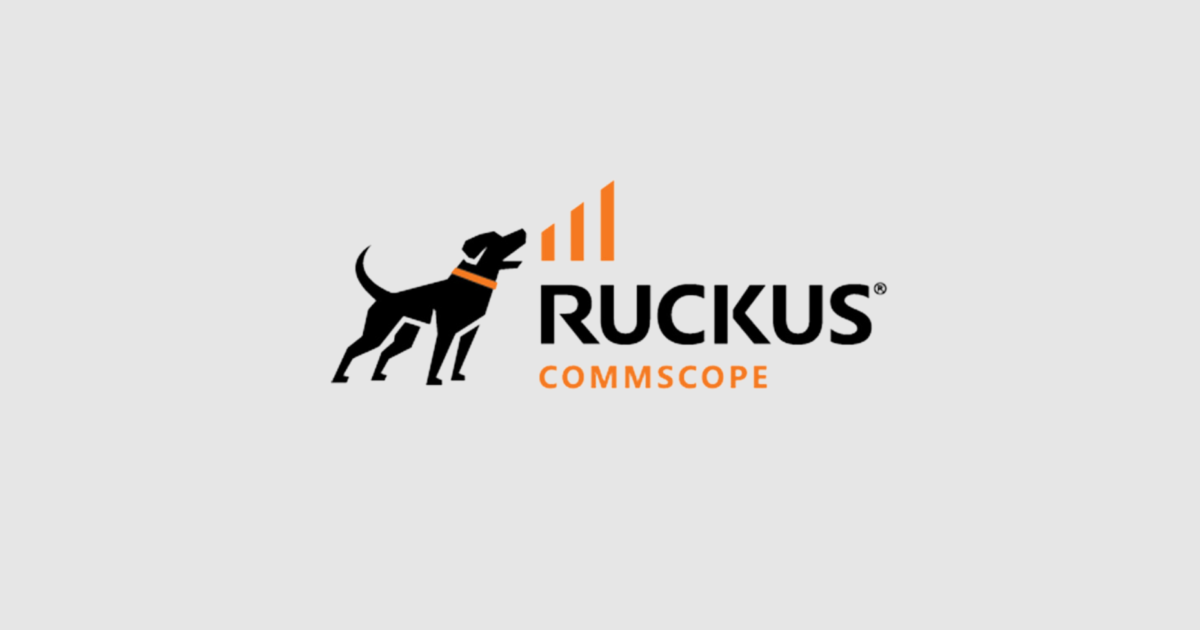 How the CRO of RUCKUS Networks leads with a bias toward action