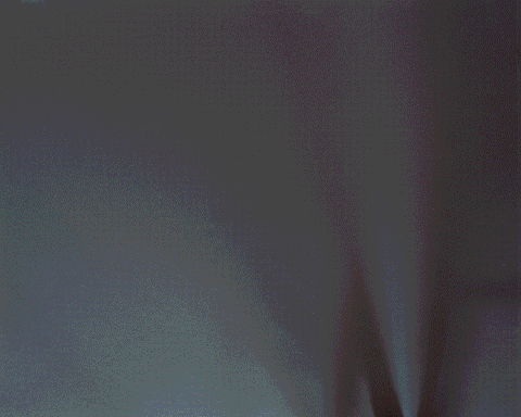 How Beefy Marketing Uses Automation to Stay Efficient