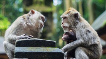 Using new technology to support conversational marketing