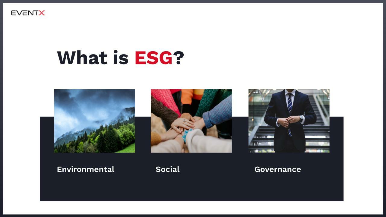 What is ESG? The standards every company should follow