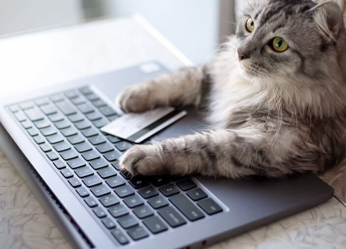 11 Ecommerce Marketing Trends Dominating in 2022