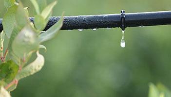 Email Drip Marketing Best Practices and Benefits