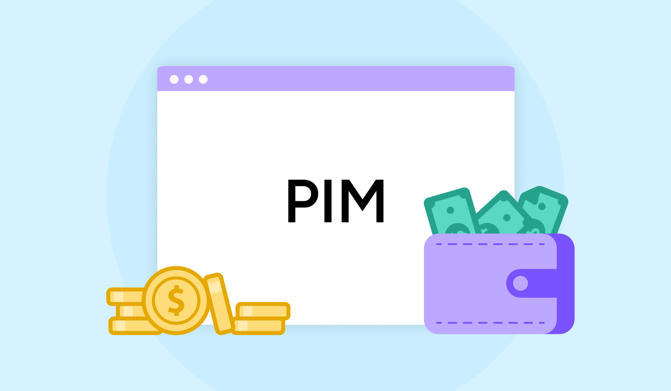 How Much Does a PIM Cost (And What Are You Really Paying For)?