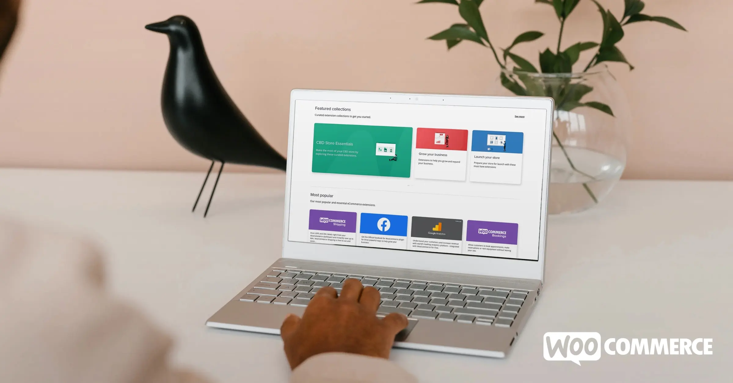 Choosing the Right WooCommerce Extensions