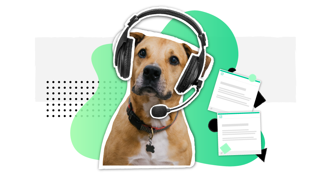 The Sales Tools Our Sales Tools Use: SalesLoft, Intercom, Chorus, Zoom & Guru