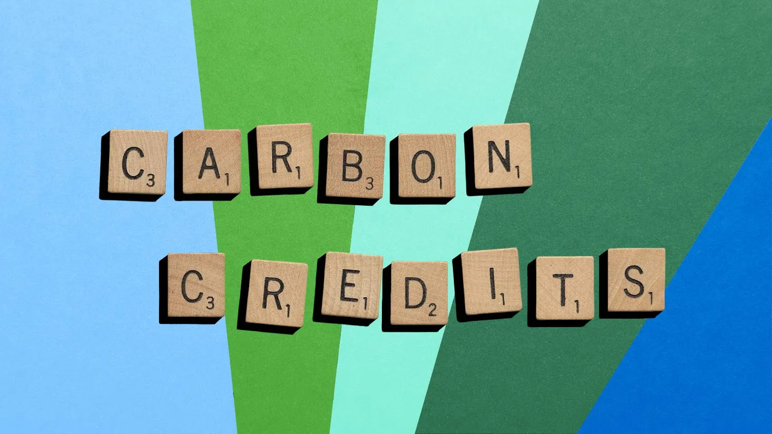 Why Carbon Credits Are a Great Addition to Your Climate Action Plan
