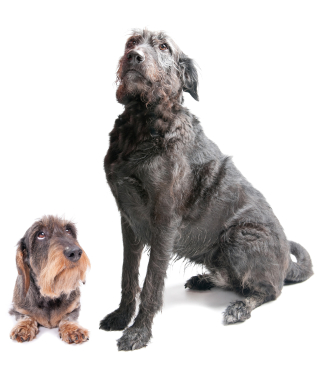 13 Little Landing Page Tweaks That Can Make a BIG Difference