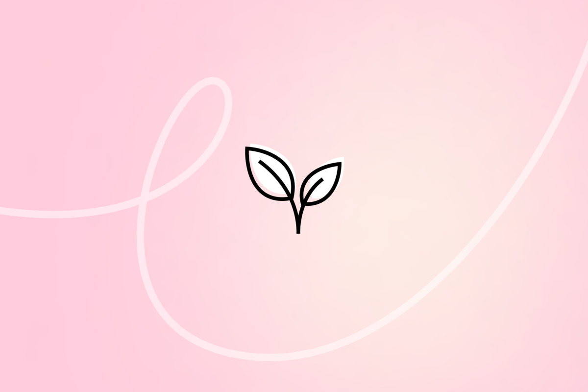 Zero-Waste Culture: 10 Ways to Generate Less Waste in Your Personal Life