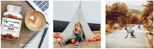 22 Hemp & CBD Brands Looking for Influencers