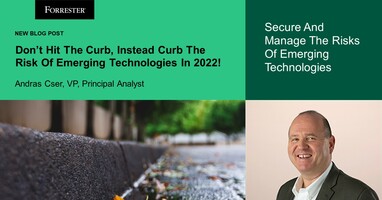 Don't Hit The Curb - Instead, Curb The Risk Of Emerging Technologies In 2022!