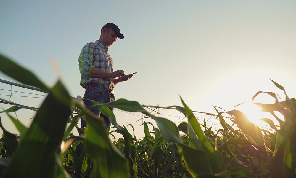 Farmers take Stock with SMS