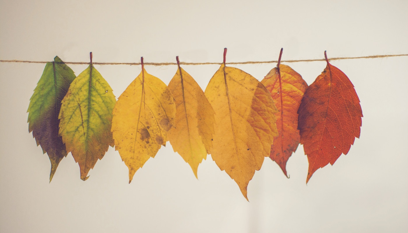 How Data Transformation is Helping Analysts with Marketing Analytics